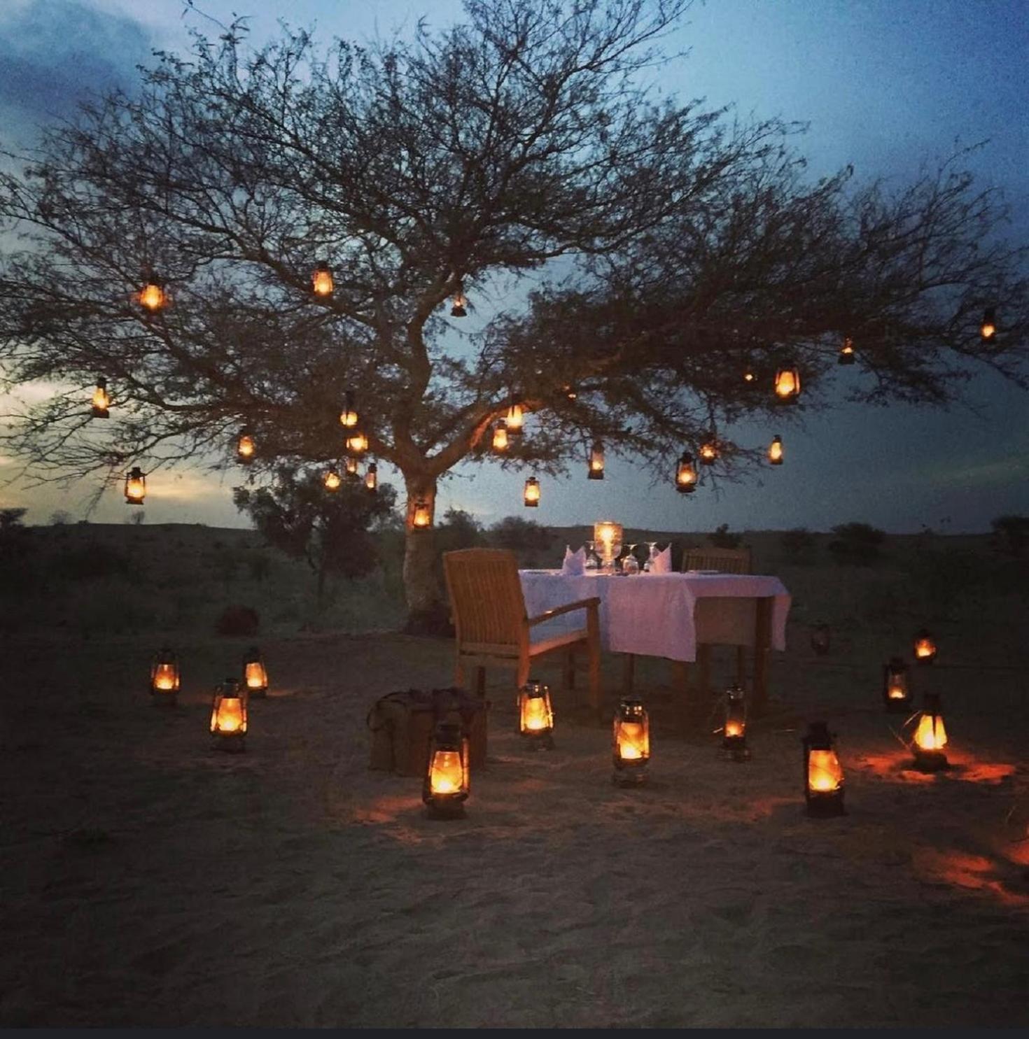 Wild Heritage Resort & Camp Jaisalmer Buitenkant foto